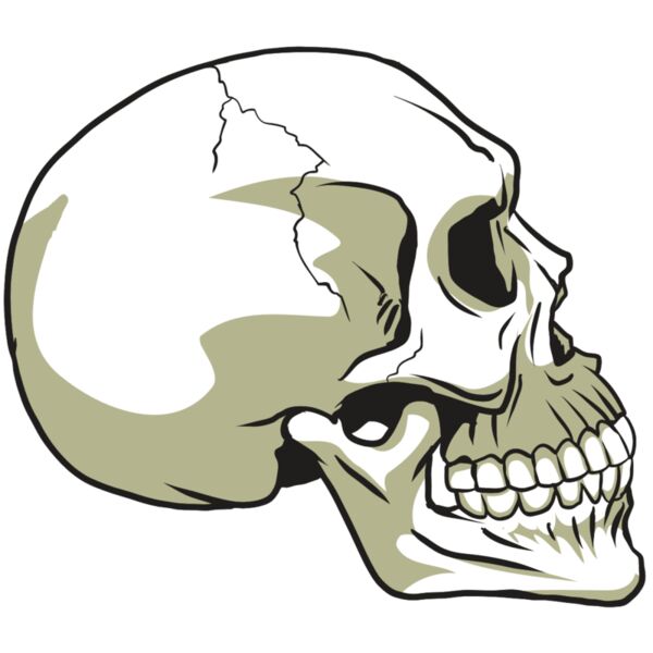 AR24 SKULL 12 RQC Thumbnail